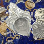 particolare conchiglia