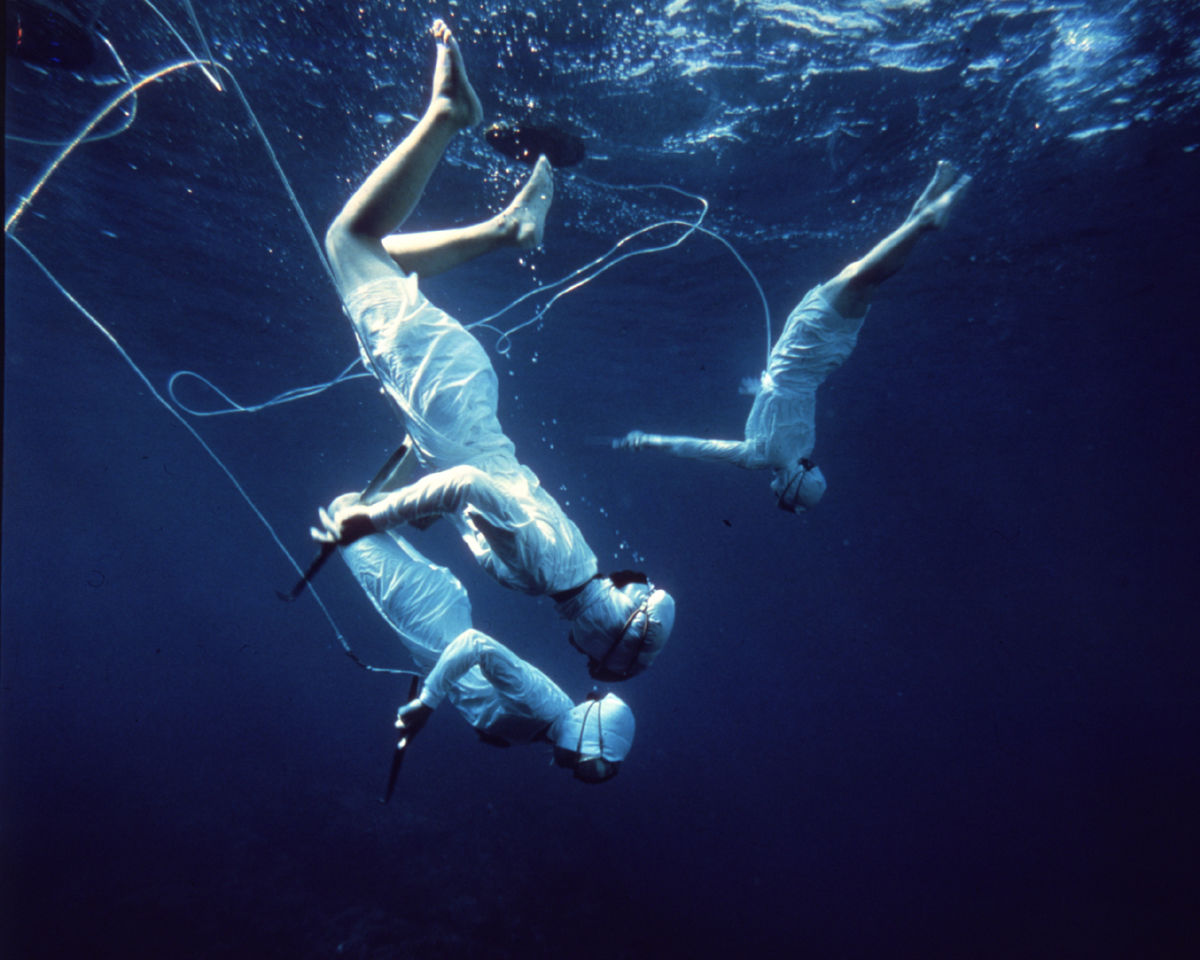 mikimoto pearl divers