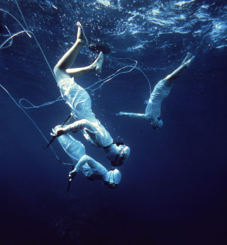 mikimoto pearl divers