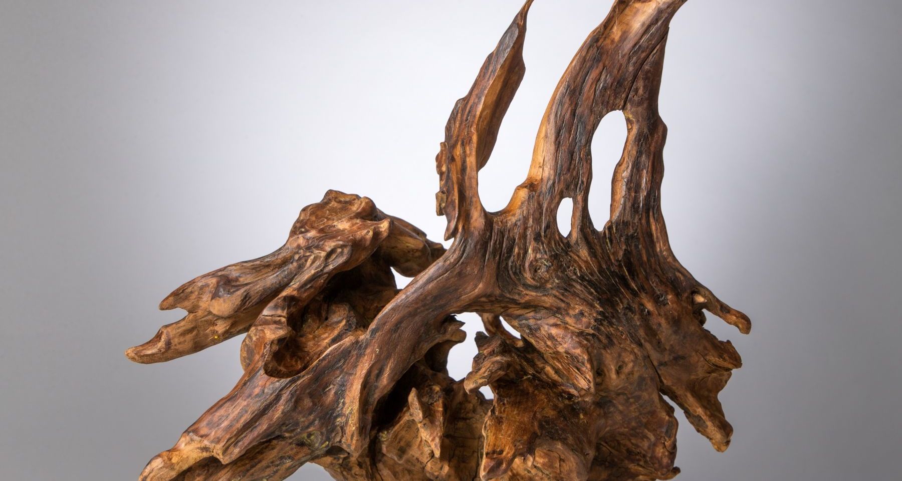 roberto vallini opera