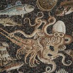 LOTTA TRA POLPO E ARAGOSTA